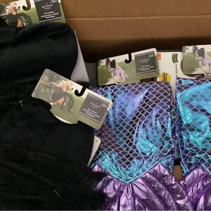 Mermaid and spider dog costumes